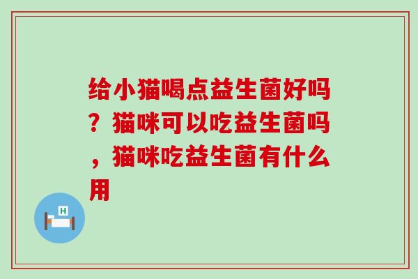 给小猫喝点益生菌好吗？猫咪可以吃益生菌吗，猫咪吃益生菌有什么用
