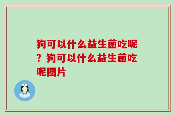 狗可以什么益生菌吃呢？狗可以什么益生菌吃呢图片