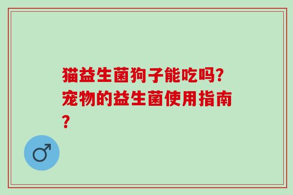 猫益生菌狗子能吃吗？宠物的益生菌使用指南？