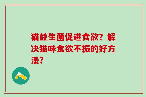 猫益生菌促进？解决猫咪不振的好方法？