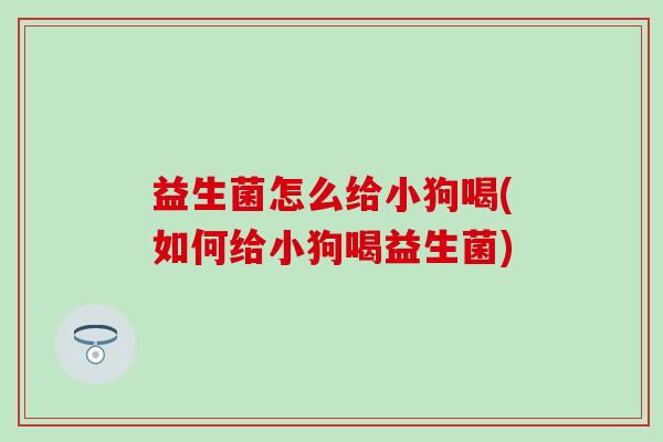 益生菌怎么给小狗喝(如何给小狗喝益生菌)