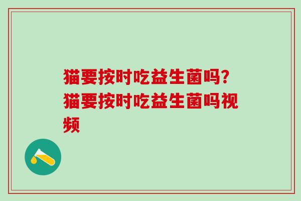 猫要按时吃益生菌吗？猫要按时吃益生菌吗视频