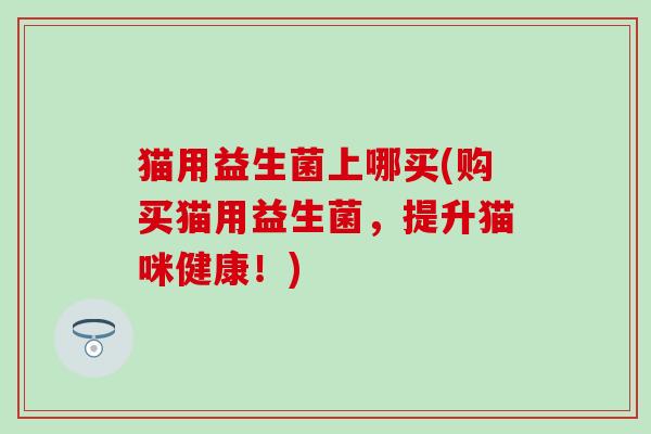 猫用益生菌上哪买(购买猫用益生菌，提升猫咪健康！)