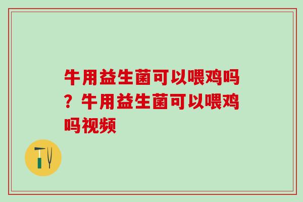牛用益生菌可以喂鸡吗？牛用益生菌可以喂鸡吗视频