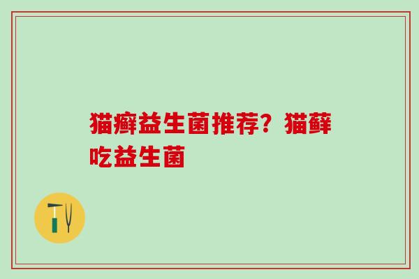猫癣益生菌推荐?猫藓吃益生菌 猫癣益生菌推荐?猫藓吃益生菌