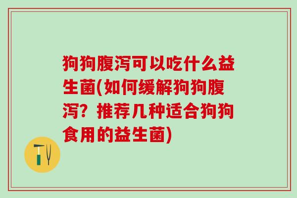 狗狗可以吃什么益生菌(如何缓解狗狗？推荐几种适合狗狗食用的益生菌)