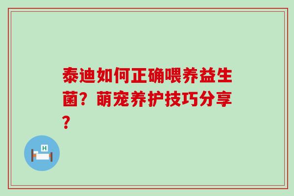 泰迪如何正确喂养益生菌？萌宠养护技巧分享？