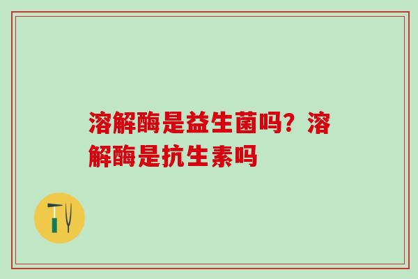 溶解酶是益生菌吗？溶解酶是抗生素吗