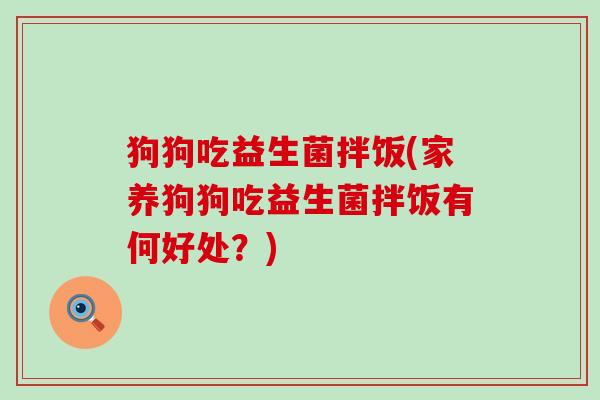 狗狗吃益生菌拌饭(家养狗狗吃益生菌拌饭有何好处？)