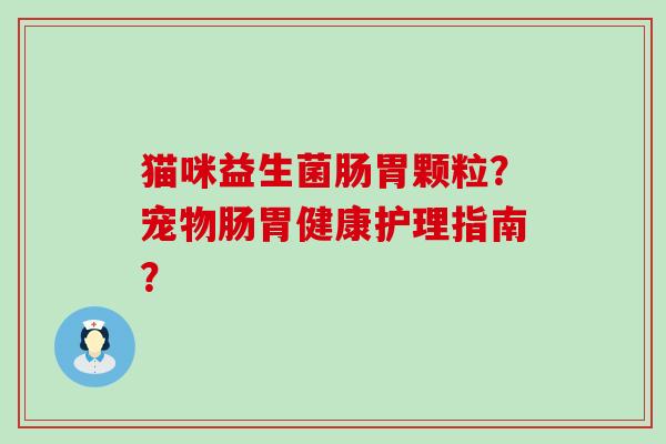 猫咪益生菌肠胃颗粒？宠物肠胃健康护理指南？