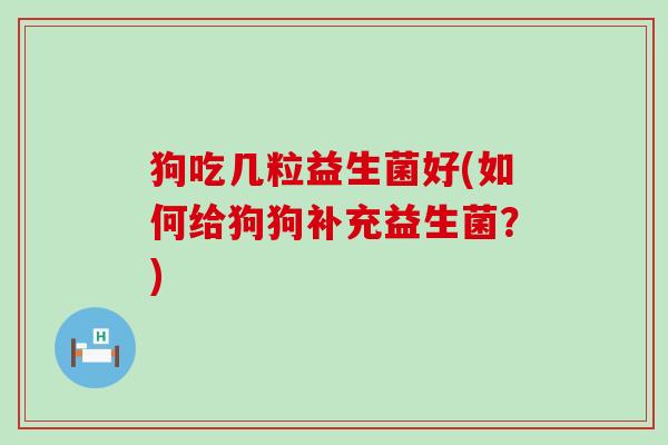 狗吃几粒益生菌好(如何给狗狗补充益生菌？)