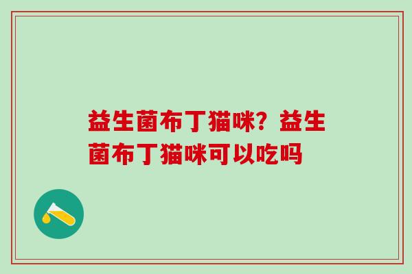 益生菌布丁猫咪？益生菌布丁猫咪可以吃吗