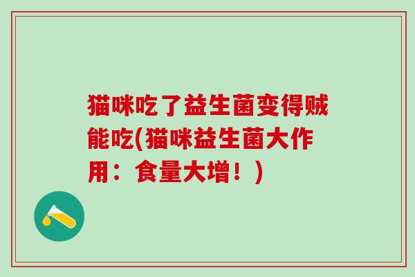 猫咪吃了益生菌变得贼能吃(猫咪益生菌大作用：食量大增！)