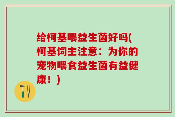 给柯基喂益生菌好吗(柯基饲主注意：为你的宠物喂食益生菌有益健康！)