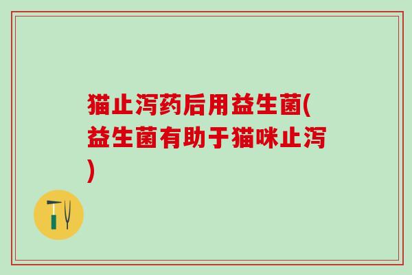 猫止泻药后用益生菌(益生菌有助于猫咪止泻)