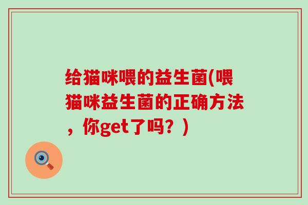 给猫咪喂的益生菌(喂猫咪益生菌的正确方法，你get了吗？)