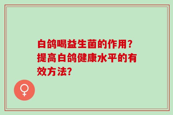 白鸽喝益生菌的作用？提高白鸽健康水平的有效方法？