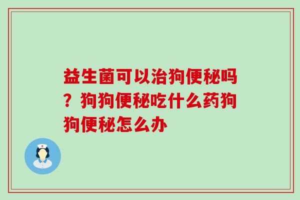 益生菌可以狗吗？狗狗吃什么药狗狗怎么办