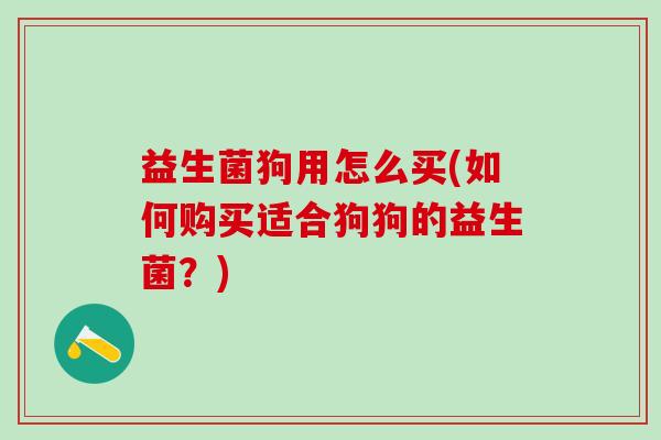 益生菌狗用怎么买(如何购买适合狗狗的益生菌？)