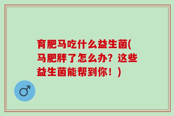 育肥马吃什么益生菌(马了怎么办？这些益生菌能帮到你！)