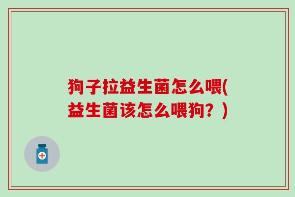 狗子拉益生菌怎么喂(益生菌该怎么喂狗？)