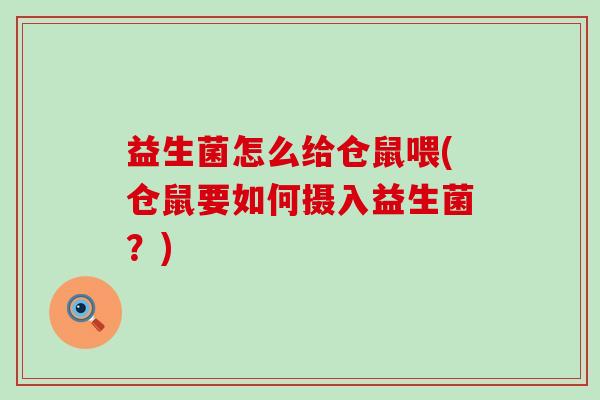 益生菌怎么给仓鼠喂(仓鼠要如何摄入益生菌？)