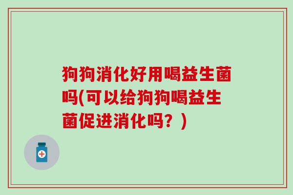 狗狗消化好用喝益生菌吗(可以给狗狗喝益生菌促进消化吗？)