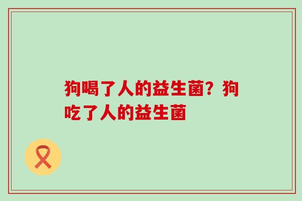 狗喝了人的益生菌？狗吃了人的益生菌