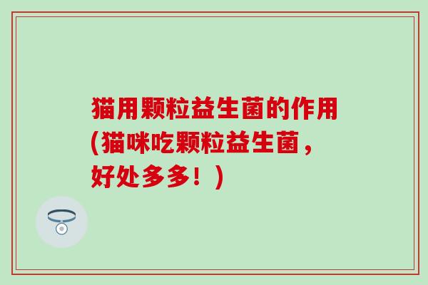 猫用颗粒益生菌的作用(猫咪吃颗粒益生菌，好处多多！)