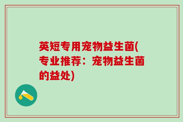英短专用宠物益生菌(专业推荐：宠物益生菌的益处)