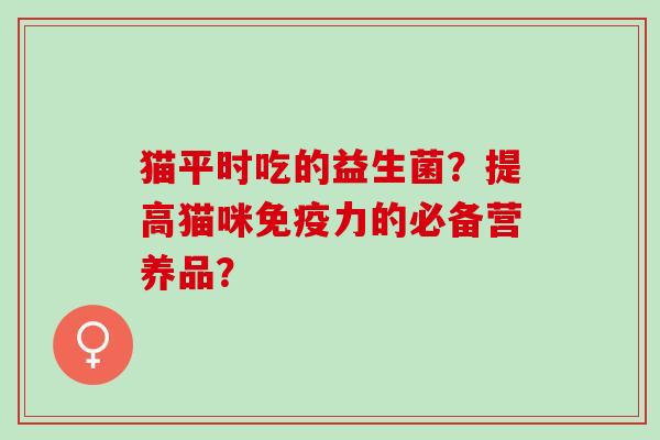 猫平时吃的益生菌？提高猫咪力的必备营养品？