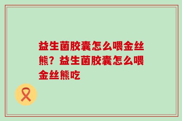 益生菌胶囊怎么喂金丝熊？益生菌胶囊怎么喂金丝熊吃
