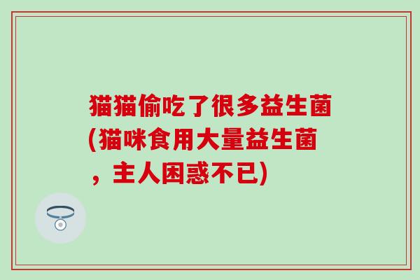 猫猫偷吃了很多益生菌(猫咪食用大量益生菌，主人困惑不已)