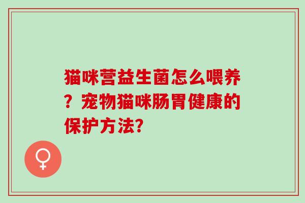 猫咪营益生菌怎么喂养？宠物猫咪肠胃健康的保护方法？