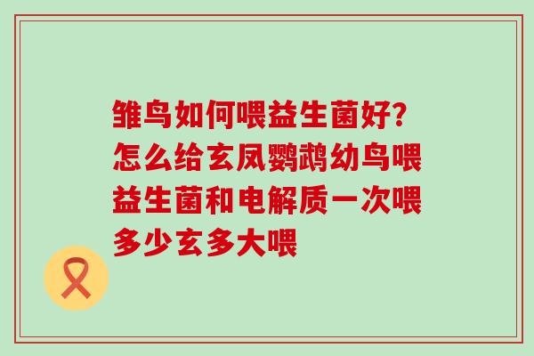 雏鸟如何喂益生菌好?怎么给玄凤鹦鹉幼鸟喂益生菌和电解质一次喂多少玄多大喂 雏鸟如何喂益生菌好?怎么给玄凤鹦鹉幼鸟喂益生菌和电解质一次喂多少玄多大喂