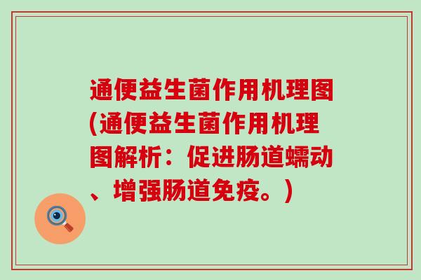 通便益生菌作用机理图(通便益生菌作用机理图解析:促进肠道蠕动、增强肠道。) 通便益生菌作用机理图(通便益生菌作用机理图解析:促进肠道蠕动、增强肠道。)