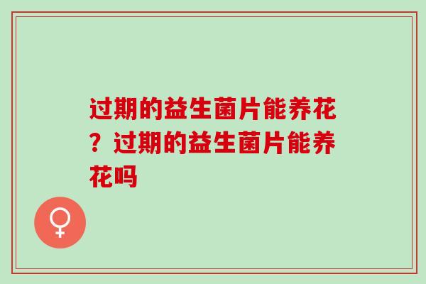 过期的益生菌片能养花？过期的益生菌片能养花吗