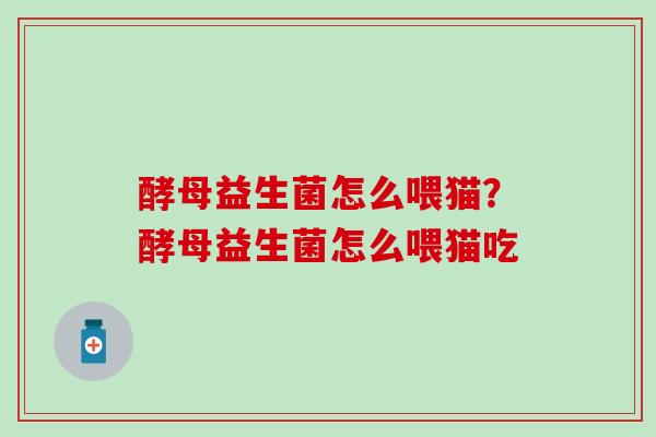 酵母益生菌怎么喂猫？酵母益生菌怎么喂猫吃