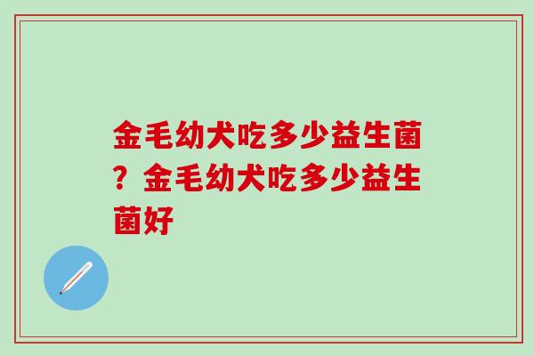 金毛幼犬吃多少益生菌？金毛幼犬吃多少益生菌好