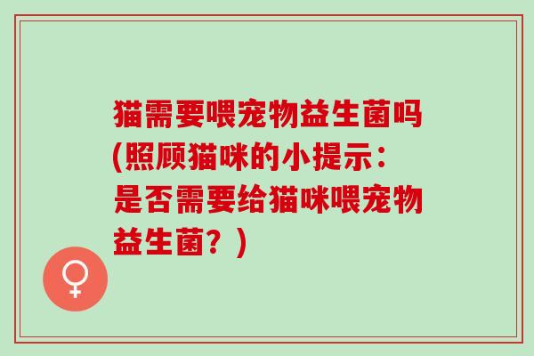 猫需要喂宠物益生菌吗(照顾猫咪的小提示：是否需要给猫咪喂宠物益生菌？)