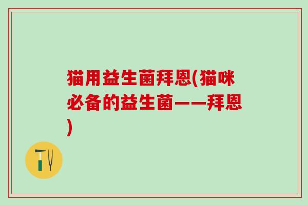 猫用益生菌拜恩(猫咪必备的益生菌——拜恩)