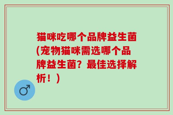 猫咪吃哪个品牌益生菌(宠物猫咪需选哪个品牌益生菌？佳选择解析！)