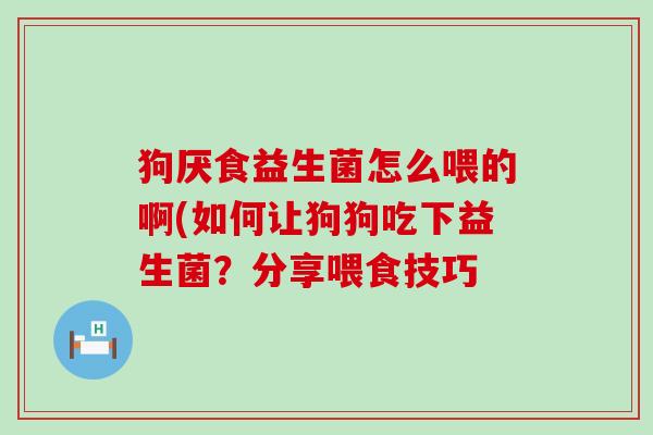 狗厌食益生菌怎么喂的啊(如何让狗狗吃下益生菌？分享喂食技巧