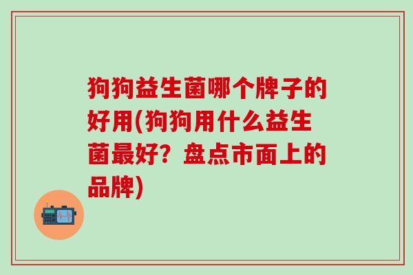 狗狗益生菌哪个牌子的好用(狗狗用什么益生菌好？盘点市面上的品牌)