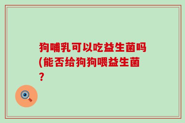 狗哺乳可以吃益生菌吗(能否给狗狗喂益生菌？