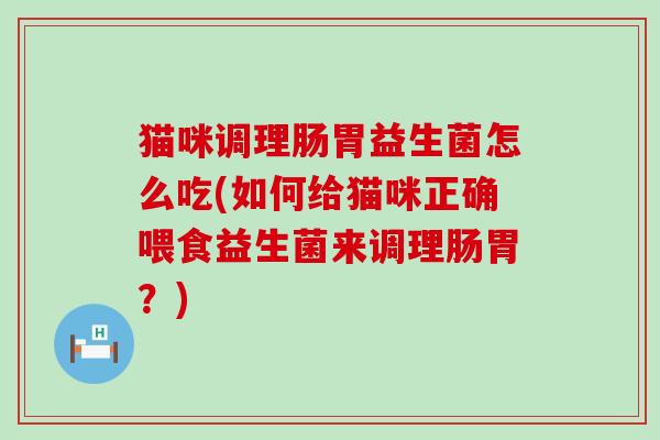 猫咪调理肠胃益生菌怎么吃(如何给猫咪正确喂食益生菌来调理肠胃？)