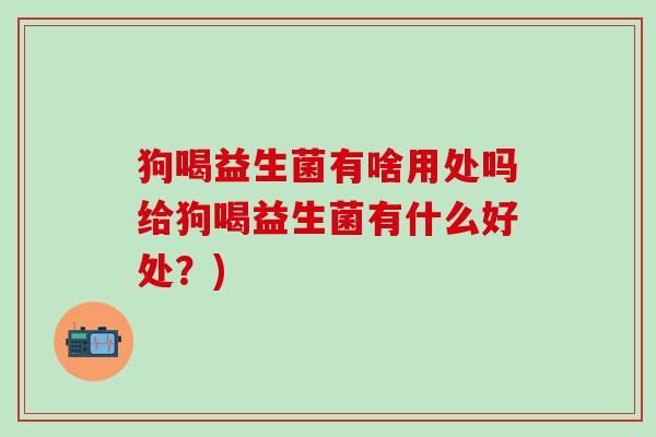 狗喝益生菌有啥用处吗给狗喝益生菌有什么好处？)