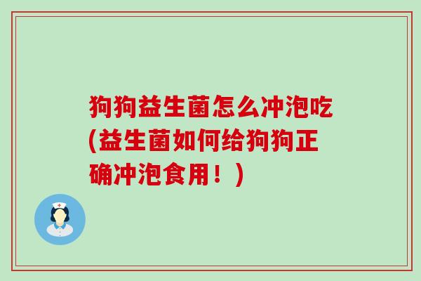 狗狗益生菌怎么冲泡吃(益生菌如何给狗狗正确冲泡食用！)