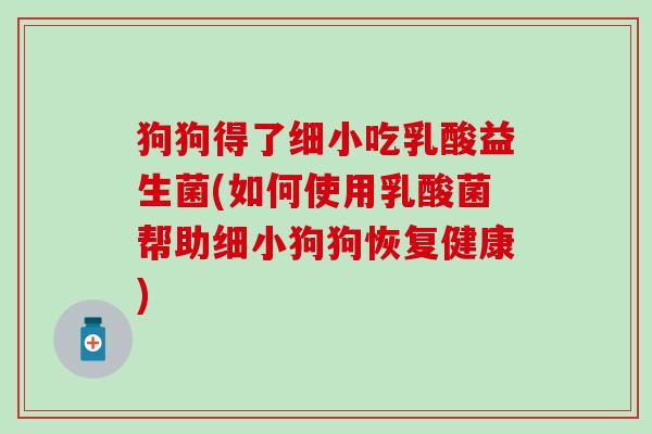 狗狗得了细小吃乳酸益生菌(如何使用乳酸菌帮助细小狗狗恢复健康)