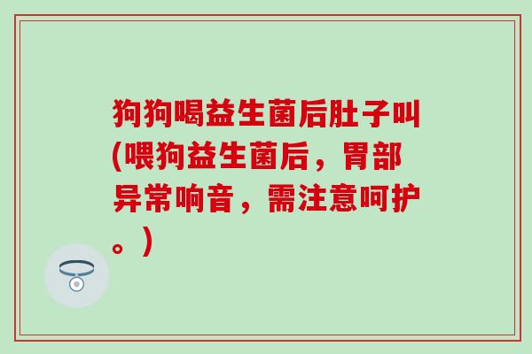 狗狗喝益生菌后肚子叫(喂狗益生菌后,胃部异常响音,需注意呵护。) 狗狗喝益生菌后肚子叫(喂狗益生菌后,胃部异常响音,需注意呵护。)